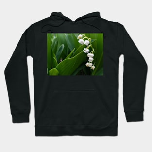 Lily of the Valley 2 Hoodie